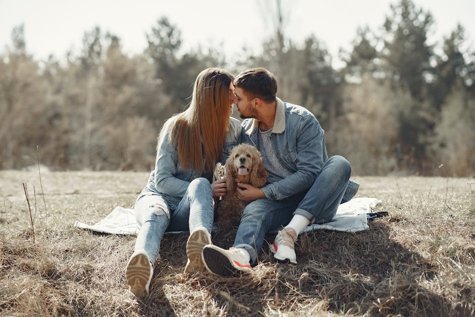 Lebenserwartung von Hunden