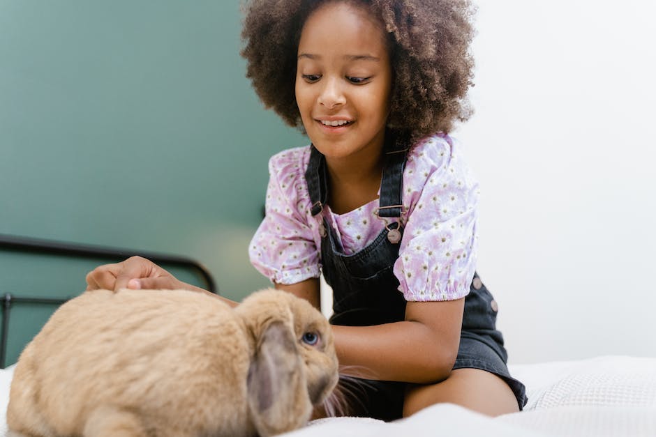 Lebensdauer von Kaninchen als Haustier