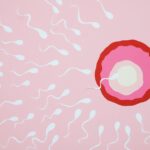 Wie lange überleben Spermien an der Luft?