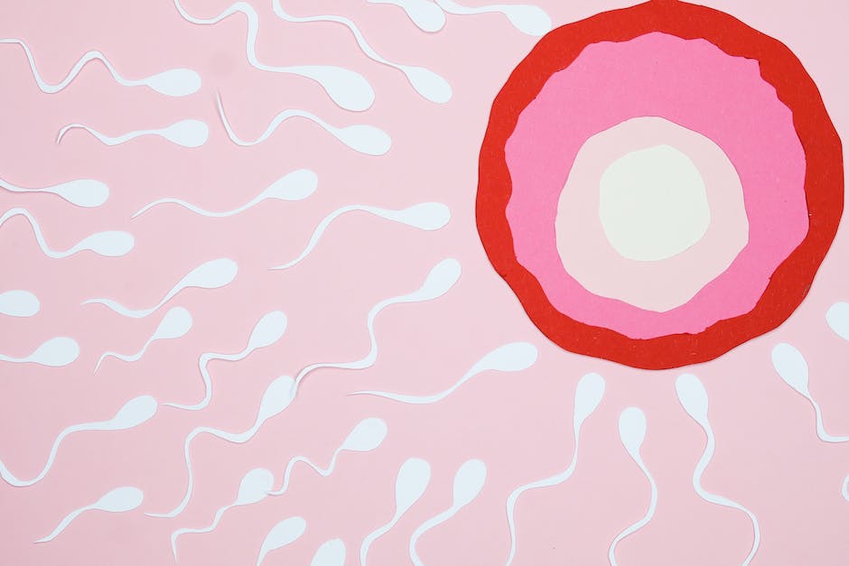 Lebensdauer von Spermien in der weiblichen Reproduktionsorgane