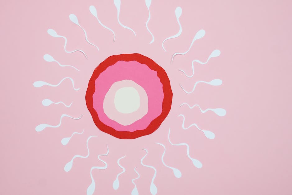 Spermienlebensdauer in der Gebärmutter