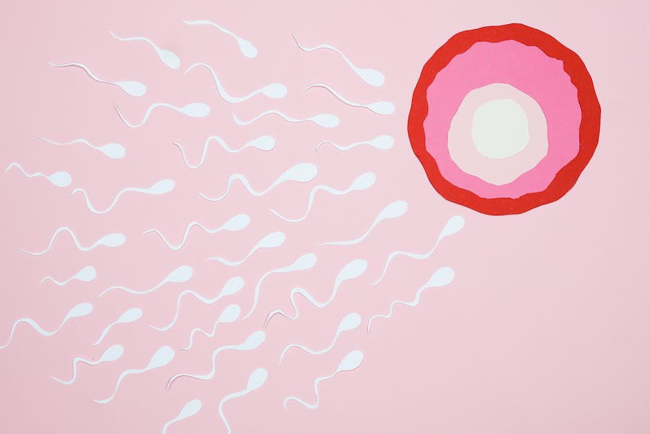 Lebensdauer von Spermien in der Gebärmutter