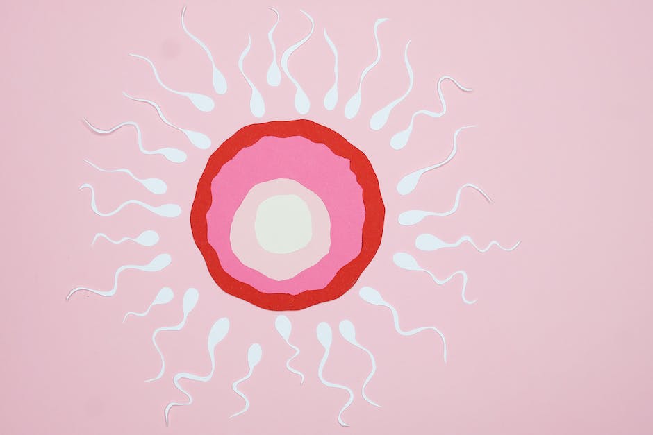 Lebensdauer von Spermien in der Gebärmutter